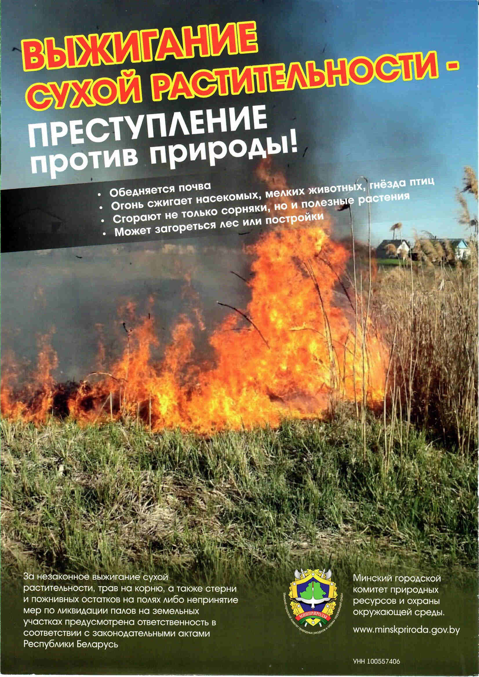 Выжигание сухой растительности — преступление против природы!