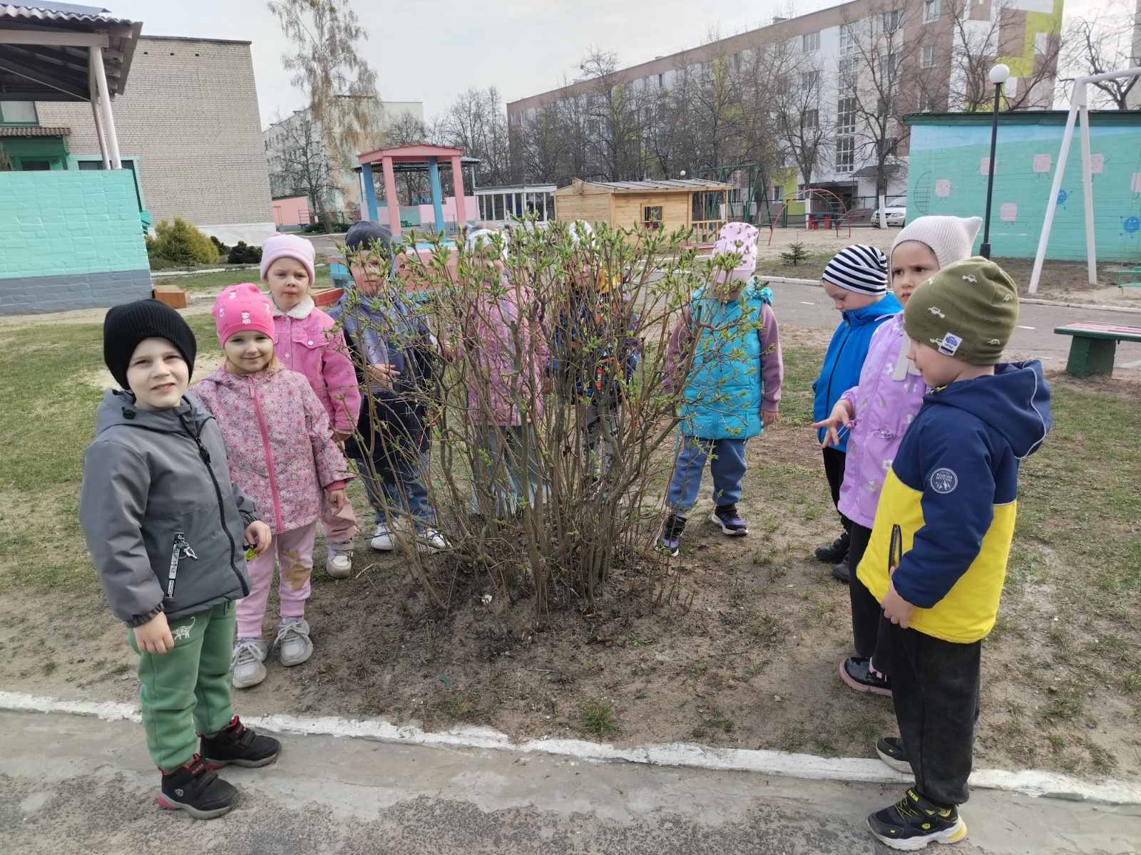 Первые признаки пробуждения природы